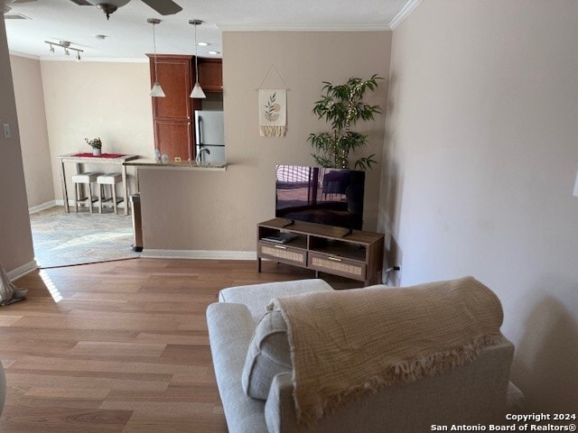 living room featuring ceiling fan, light hardwood / wood-style floors, and crown molding