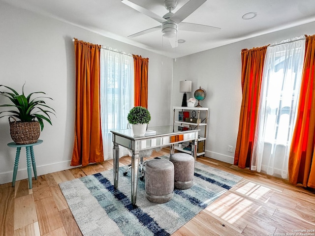 office featuring ceiling fan and light hardwood / wood-style flooring