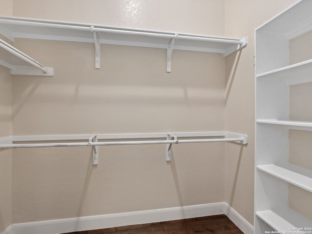 spacious closet featuring dark hardwood / wood-style floors