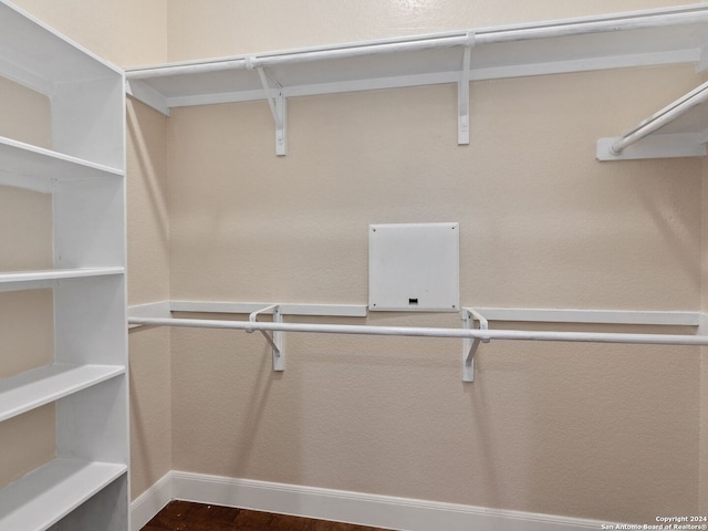 spacious closet featuring dark wood-type flooring