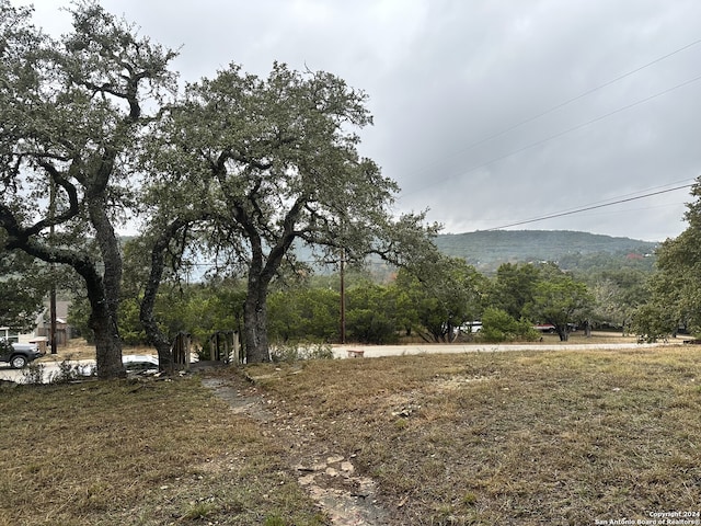 1306 Canyon Trce, Canyon Lake, TX 78133 - view of yard