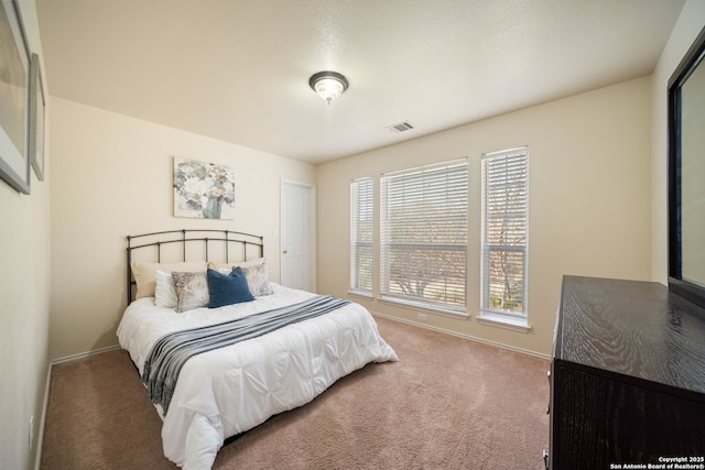 carpeted bedroom with multiple windows