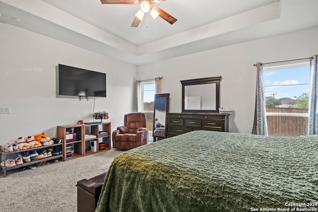 bedroom with a raised ceiling, ceiling fan, and carpet