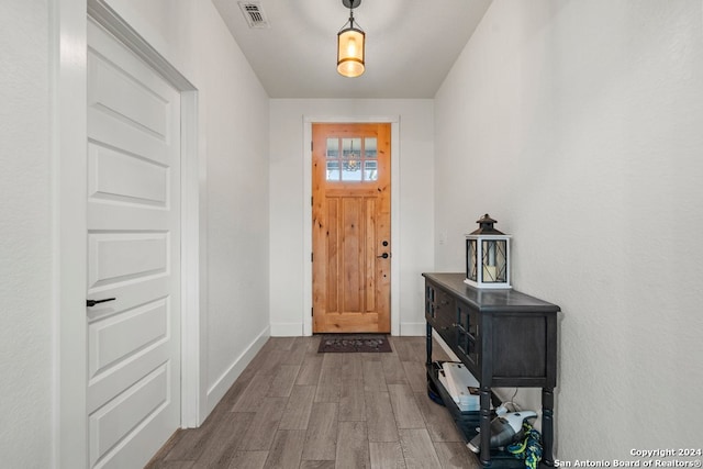 foyer with hardwood / wood-style floors