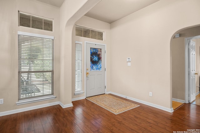 foyer entrance featuring wood-type flooring