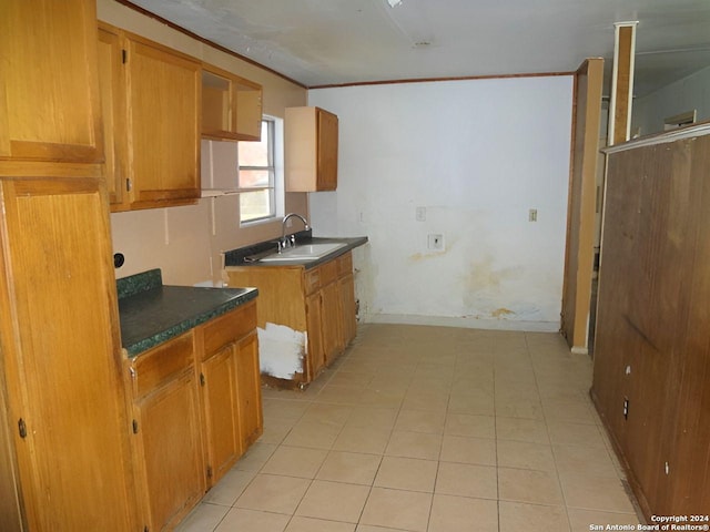 kitchen with ornamental molding and sink