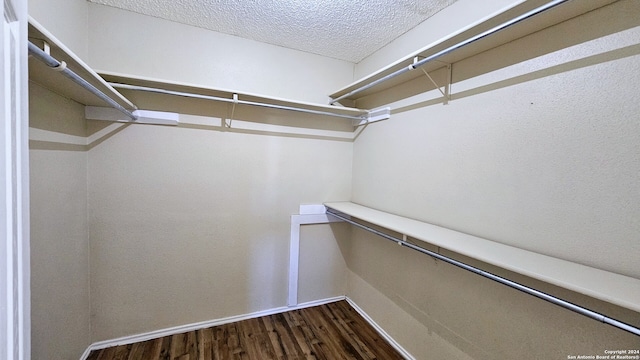 walk in closet featuring wood-type flooring