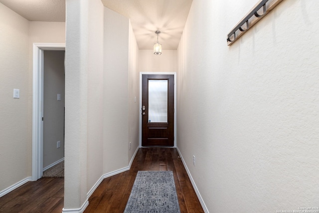 doorway featuring dark wood-type flooring