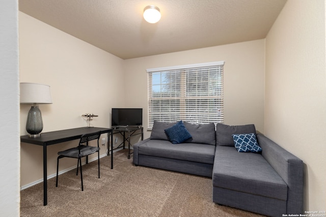 office space featuring carpet and a textured ceiling