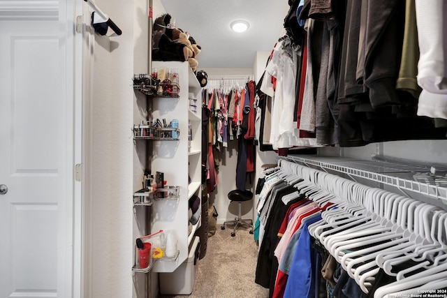 spacious closet featuring carpet floors