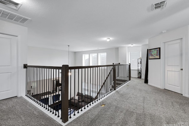 hall featuring carpet floors and a textured ceiling