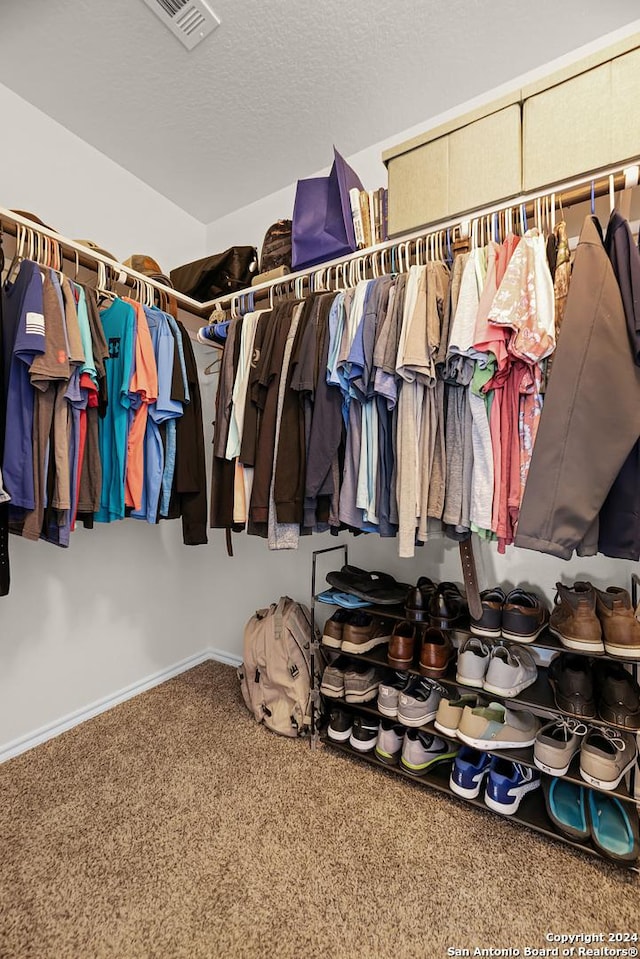 walk in closet with carpet