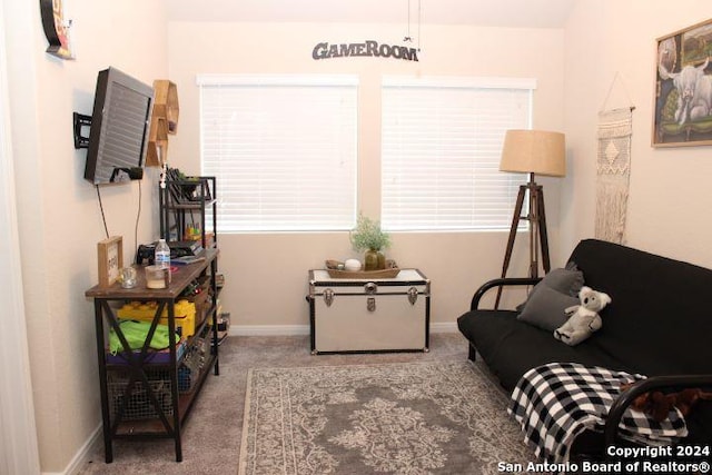 living area featuring carpet flooring