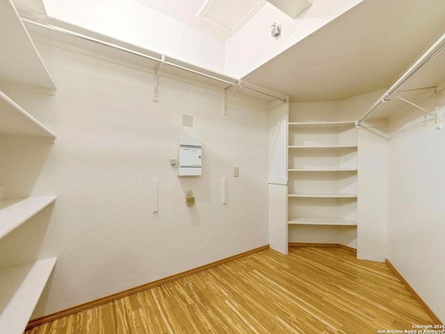 spacious closet with hardwood / wood-style flooring