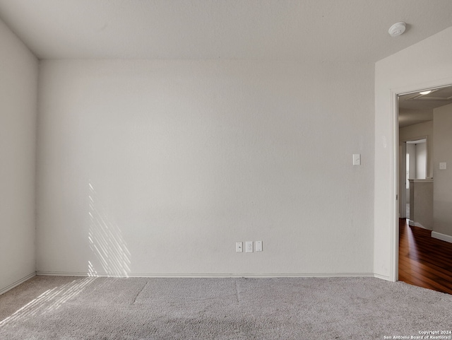 empty room featuring carpet floors