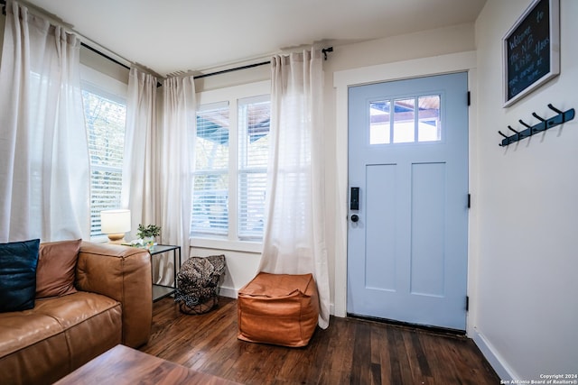 foyer entrance with dark wood-type flooring and a healthy amount of sunlight