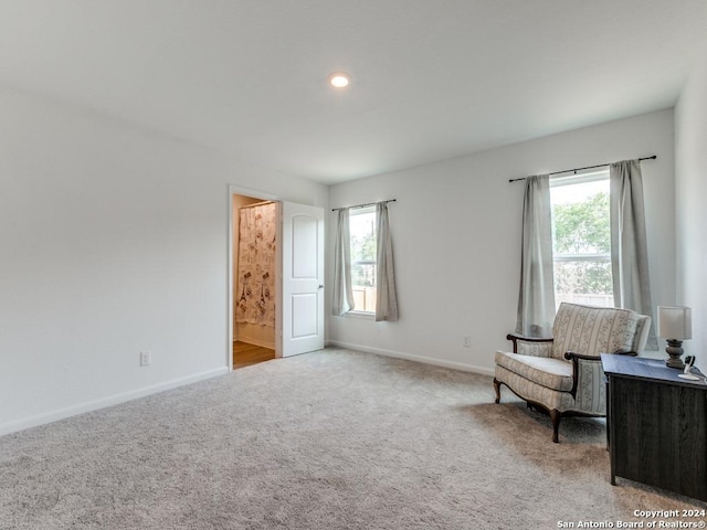 living area with light carpet and plenty of natural light