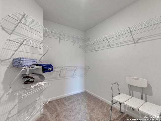 spacious closet featuring carpet floors