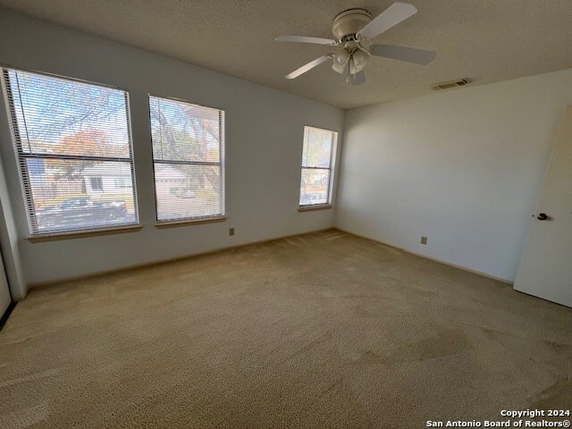 carpeted empty room featuring plenty of natural light and ceiling fan