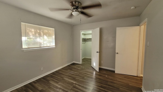 unfurnished bedroom with a walk in closet, dark hardwood / wood-style flooring, a closet, and ceiling fan