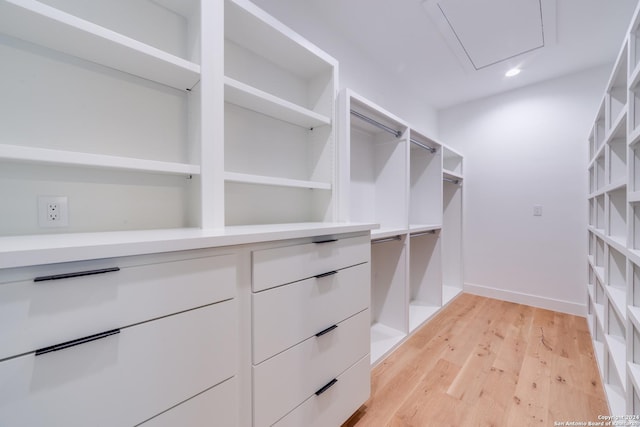 walk in closet featuring light hardwood / wood-style flooring