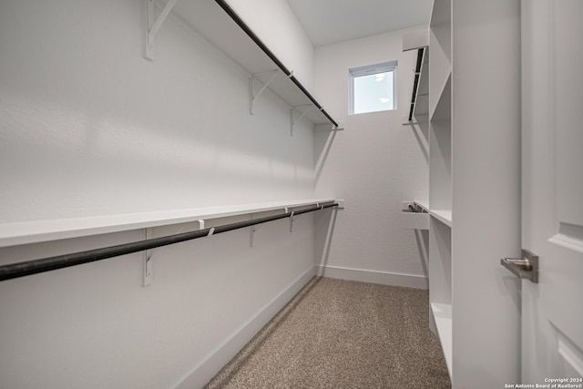 spacious closet with carpet flooring