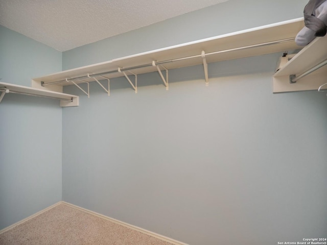 walk in closet featuring carpet floors