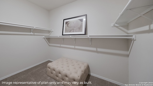 spacious closet featuring dark colored carpet