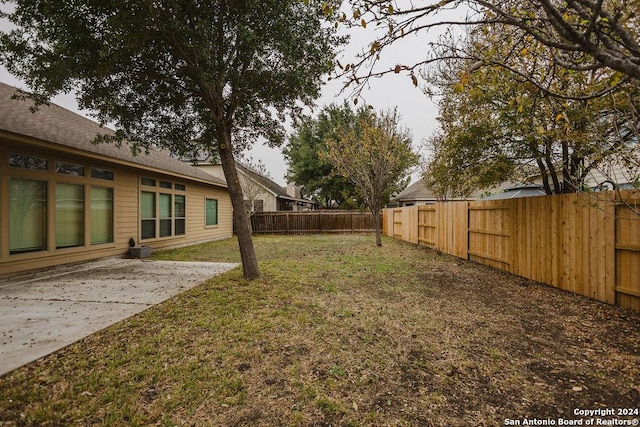 view of yard featuring a patio