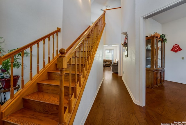 staircase featuring wood-type flooring