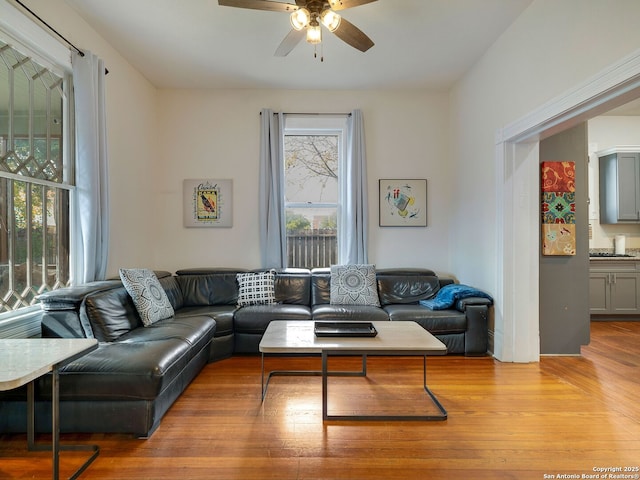 living room with ceiling fan and light wood-type flooring