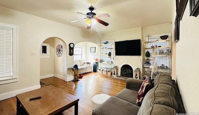 living room featuring ceiling fan, hardwood / wood-style floors, and ornamental molding