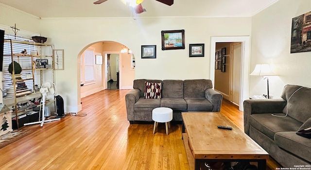 living room featuring ceiling fan, wood-type flooring, and ornamental molding