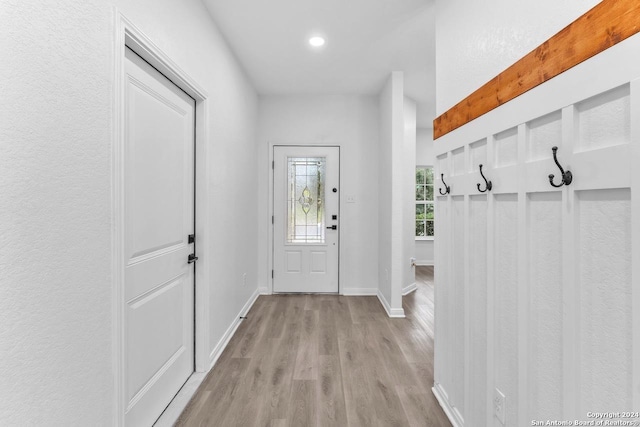 mudroom featuring light hardwood / wood-style flooring