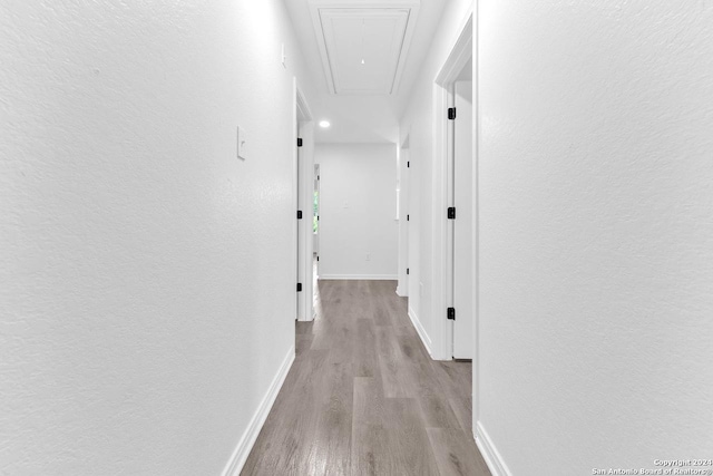 corridor with light hardwood / wood-style flooring