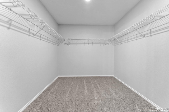 walk in closet featuring carpet floors