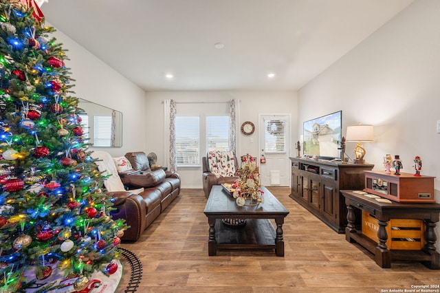 living room with light hardwood / wood-style floors