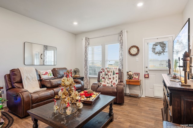 living room featuring plenty of natural light and light hardwood / wood-style flooring