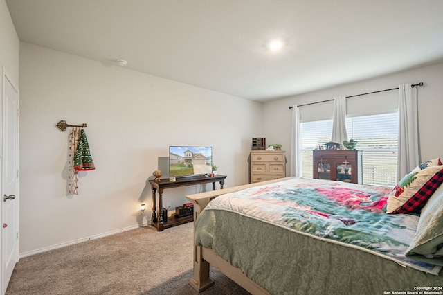 bedroom with carpet flooring