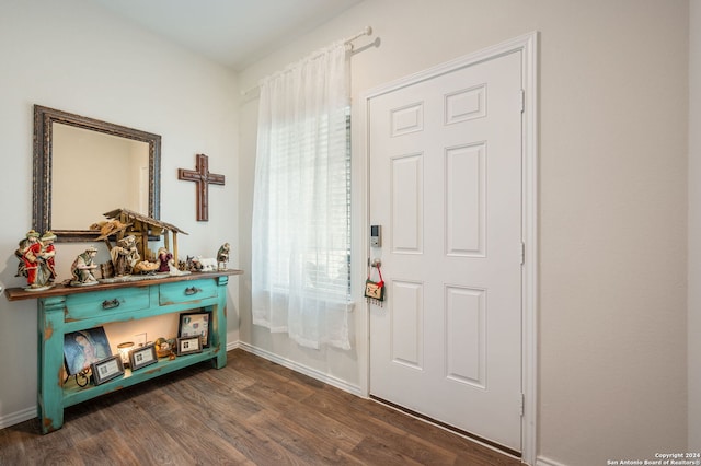 entryway featuring dark hardwood / wood-style flooring