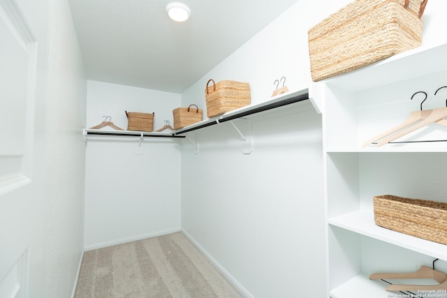 spacious closet featuring light carpet