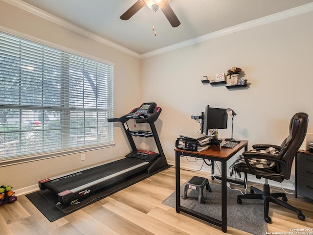 home office with ceiling fan, light hardwood / wood-style floors, and ornamental molding