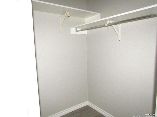 walk in closet featuring dark hardwood / wood-style flooring