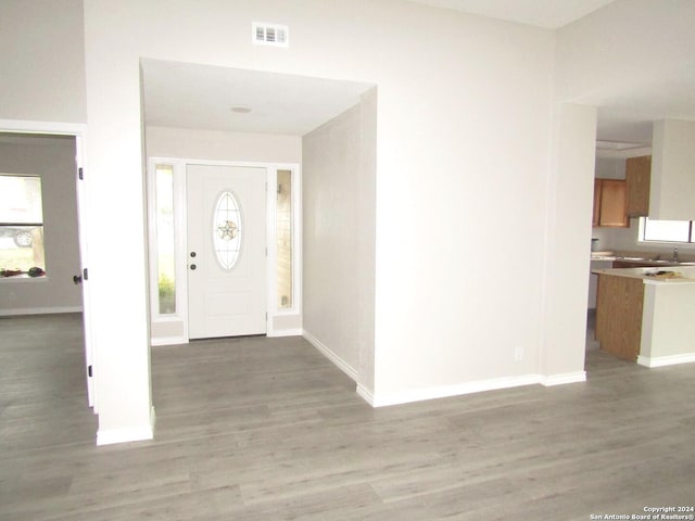 entrance foyer with hardwood / wood-style flooring