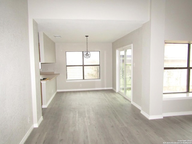 unfurnished dining area with wood-type flooring