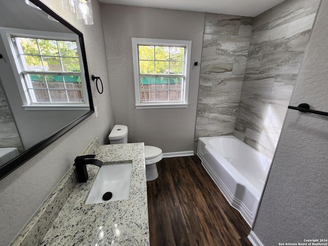 bathroom with toilet, vanity, and wood-type flooring