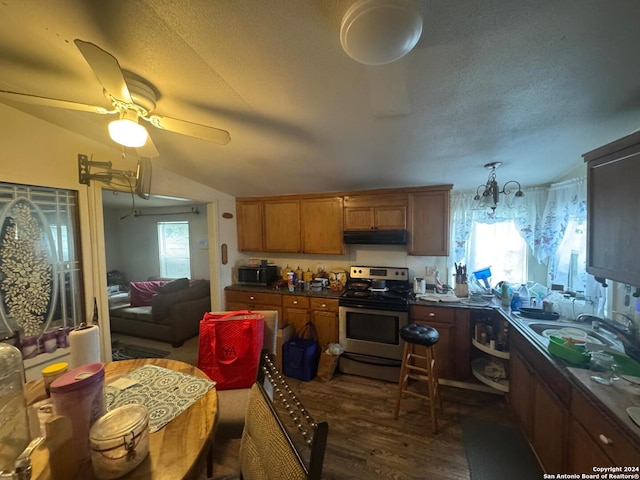 kitchen featuring dark wood-type flooring, ceiling fan with notable chandelier, vaulted ceiling, a textured ceiling, and stainless steel appliances