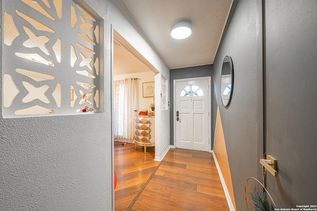 entryway featuring hardwood / wood-style floors