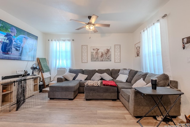 living room featuring ceiling fan and light wood-type flooring