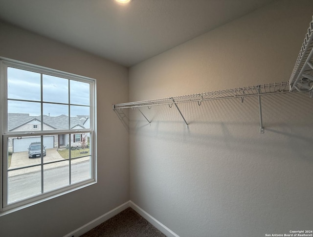 walk in closet featuring carpet